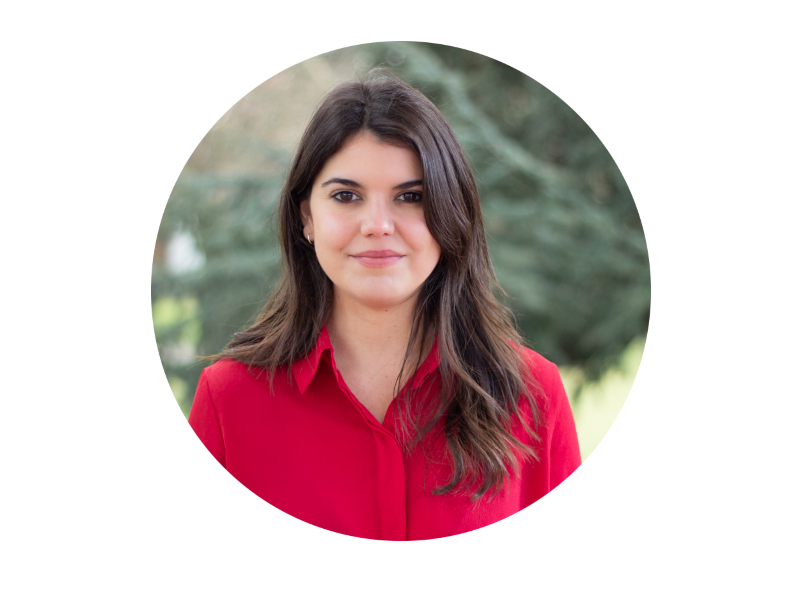 Partido Socialista PSOE